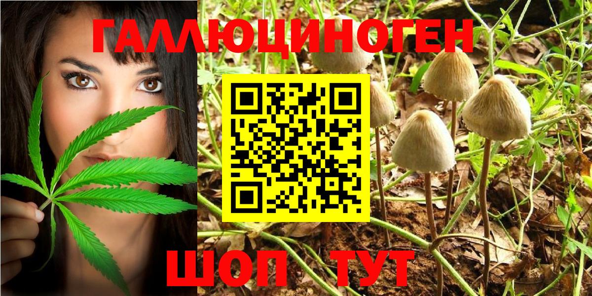 Псилоцибиновые грибы Psilocybe  Галлюциногенные грибы мухоморы  Тайшет  Вход с VPN 