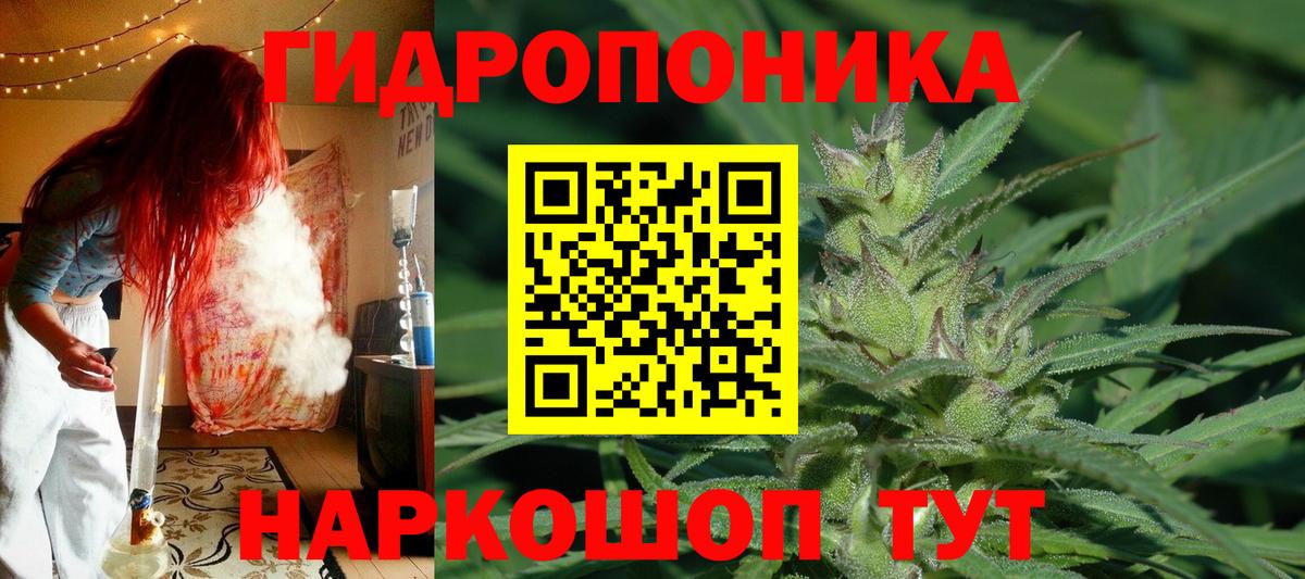 Каннабис Amnesia  МАРИХУАНА семена  Шишки марихуана OG Kush  Тайшет  Вход с VPN 